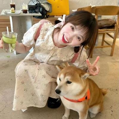拜见宫主大人